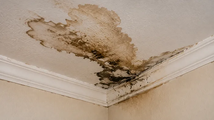 Category 3 Water Damage Costo